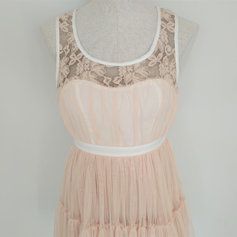 🎃 Blush by Young Threads Tulle and Lace Dress - Picture 5 of 10